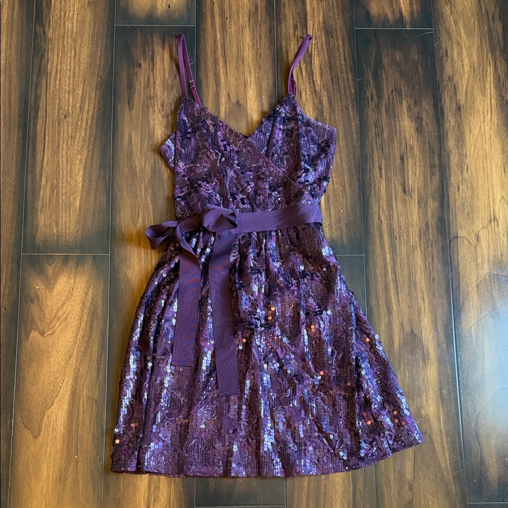 Express Purple Lace and Sequin Dress with matching shall